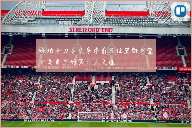 哈珀全力以赴争夺首发位置凯尔登才是真正的第六人之选